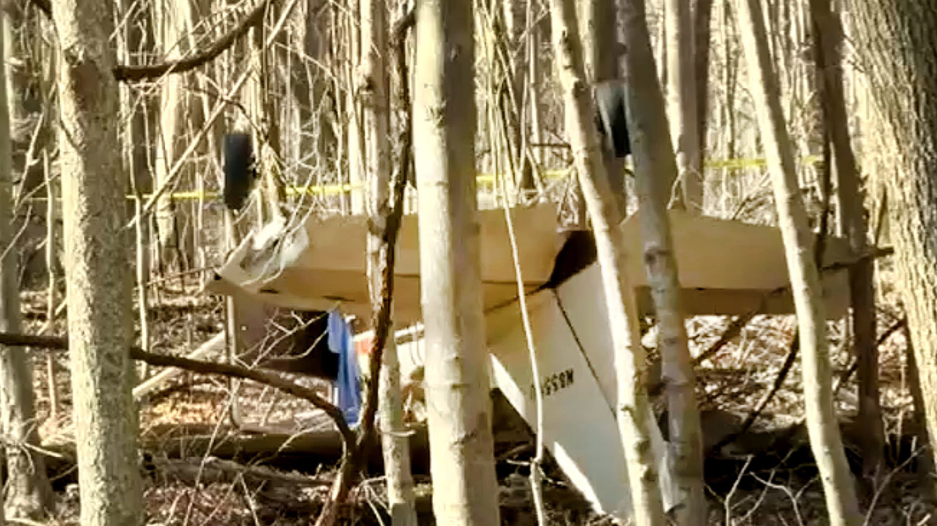 Congerville man dies in plane crash